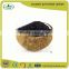 Plant factory price coconut shell activated carbon