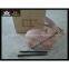 Farway XPE FOAM material durable 3D wild rabbit Archery target