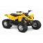 2012 Can-Am DS 90