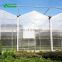 Aluminum Frame Polycarbonate Garden Greenhouse