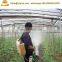 Agriculture hand weed sprayer spray pesticide machine in paddy farm