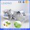 IQF vegetable washing machine / IQF vegetable processing line