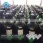 50L Industrial Oxygen, Nitrogen, Hydrogen, Argon Gas Cylinder