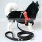 Eyeglass Shaped Pet Collar Leash Training Dog Pulling Rope Pet Neck Chain Pet Supplies
