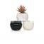 Custom Marble Modern Decorative Ball Indoor Outdoor Luxury Ceramic Garden Planter Cactus Flower Plant Succulents Pot