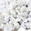 High quality_ Filler Masterbatch from Viet Nam_HP PP 2035