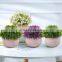 Hot Sale Set 4 Artificial Grass Bonsai Mini Artificial Potted Plants Natural Plant For Indoor Home Decoration