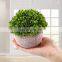 Hot Sale Set 4 Artificial Grass Bonsai Mini Artificial Potted Plants Natural Plant For Indoor Home Decoration