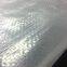 Transparent Poly Coated Tarpaulin Sheet for Agriculture and Cherry Tree Cover
