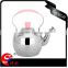 Whistling Kettle with filter/ colored stainless steel teapot/ jug silver