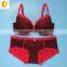 Cheap Price Hot Colorful Sexy Lace Plus Size Bra Set
