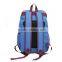 Daypack red blue casual travel bag