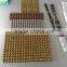 Ceramic tile coating machine