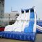 popular newest giant dolphin inflatable slide for kids and adults