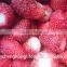 IQF Whole Strawberries