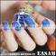 Nail Art Glitter Powder for Nail decoration