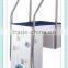 Wall-hung Pipeless Swimming Pool Filter
