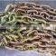 Transport Chain NACM96(G70), Link Chains, Welded Chain