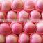 Red delicious Qinguan apple import from China Gansu Tianshui