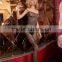 880-11 Sexy Fishnet Bodystocking Sling Open Crotch Floral Bodysuit Lingerie Black