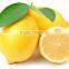 organic citrus limon extract, herbal, powder