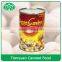 300g,400g,800g,3000g 2016 new crop canned chick pesa,canned hummus