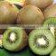 Fresh sweet qinmei kiwi for sale