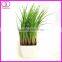 artificial echeveria succulent pot