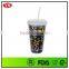 16oz bpa free double wall photo insert acrylic tumbler with straw