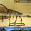 MY Dino-C030 Life Size Dinosaur Skeleton Model for Sale