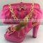 Charming ladies shoes and matching bag for party