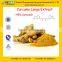GMP Manufacturer Supply Natural Curcuma Longa Rhizome Extract Powder