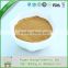 Design professional green tea powder for loose tea