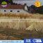 Vietnam well treated first layer wholesale incense sticks for incense
