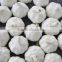 China Pure White Garlic pack in 10kg/mesh bag loosely