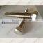 Hastelly B2/2.4617 Stainless Steel Fastener Full Thread Hex Bolts C276.. C4.C22. B3