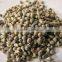 Hybrid Pearl Millet Seeds