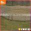 New design Cattle Panels with great price