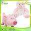 Cheap Musical Kids Toy Cute and Attractive Plush Pig Toy