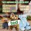 HI stuffed giant plush bear,2 meters giant plush teddy bear,plush bear toy for 200cm