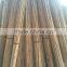 Tonkin dry green garden plant bamboo canes and bamboo stakes and bamboo poles