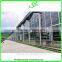 Multi- span potato film greenhouse for sale