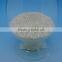 GH401 Virgin Biodegradable Plastic Material PLA Pellets for Injection Molding Grade
