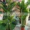 Indoor artificial palm trees plants decorative for sale