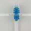 chinese toothbrush factory dupont tynex bristle good quality best in Yangzhou