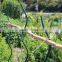 galvanized tomato stake stick for spiral plants