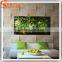 Man-made artificial grass wall plastic artificial plants wall customized artificial plants wall
