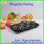 pengzhou plastic mushroom tray