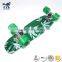 HSJ255 China factory Customized skateboard deck or logo plastic Skate board Fish Board