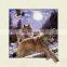 High quality new lenticular picture 5D wood picture frame